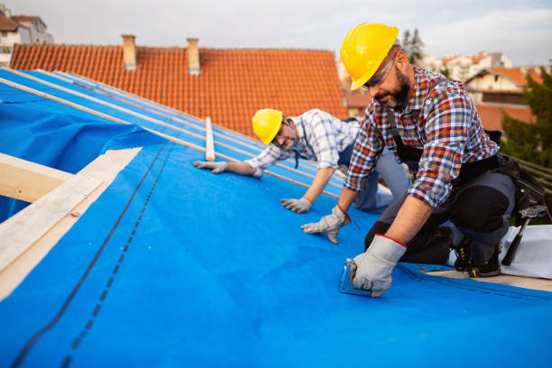 Best Roof Waterproofing Services  in New Holstein, WI