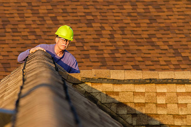 Best Storm Damage Roof Repair  in New Holstein, WI